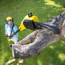 Best Leaf Removal  in Woodacre, CA