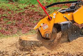 Best Lawn Disease Treatment  in Woodacre, CA