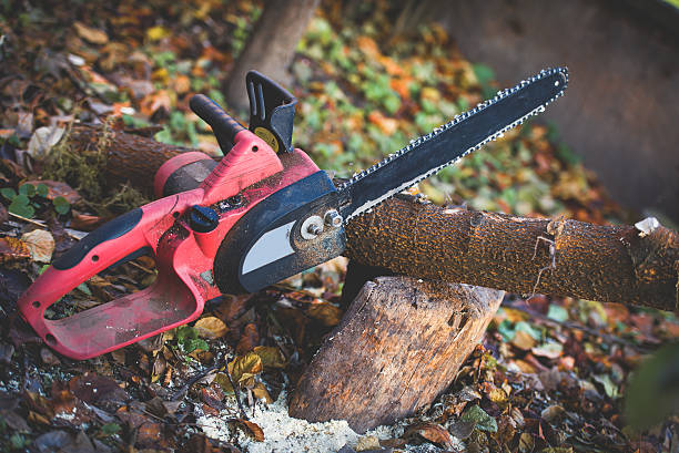 Best Lawn Watering Services  in Woodacre, CA